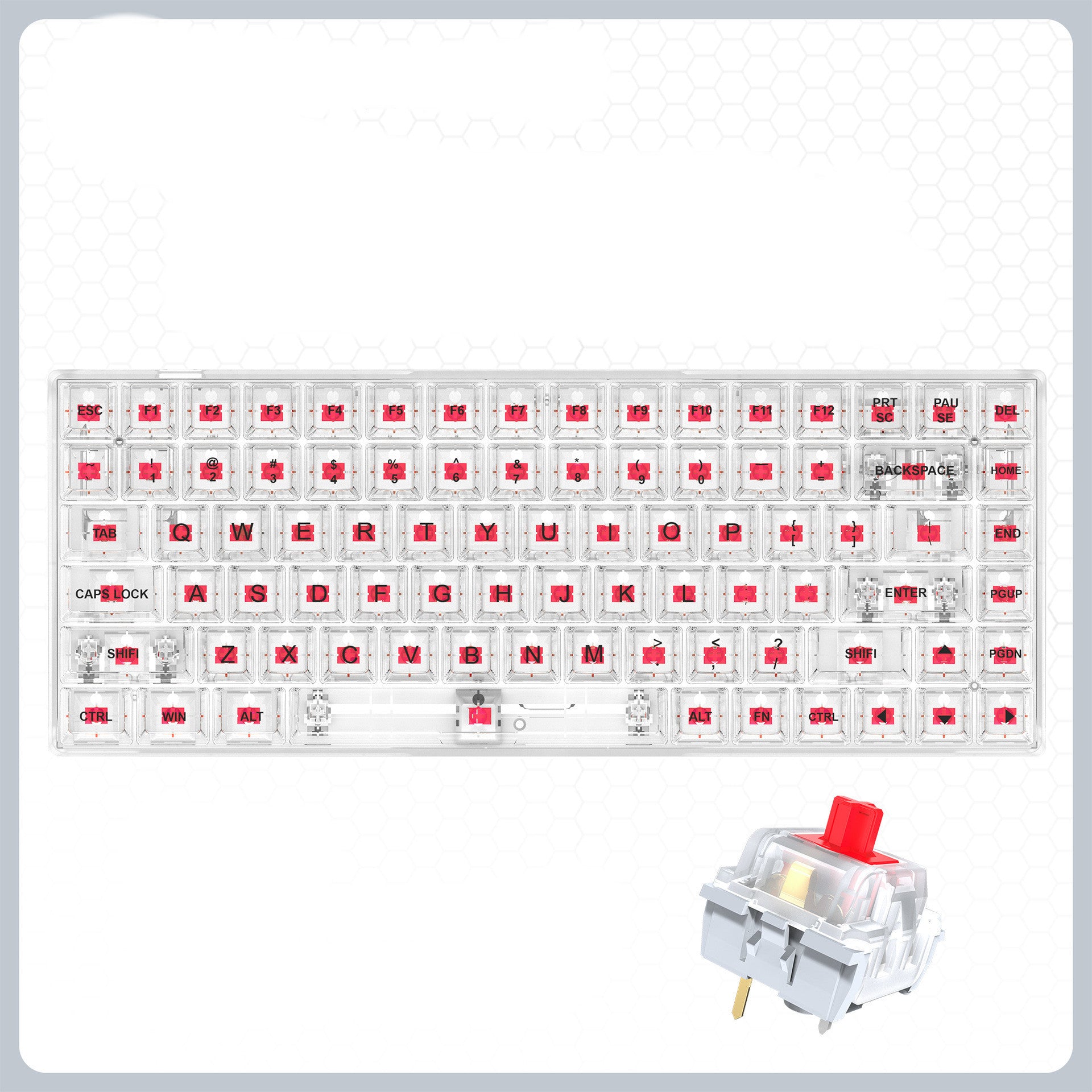 Transparent RGB Gaming Wired Mechanical Keyboard