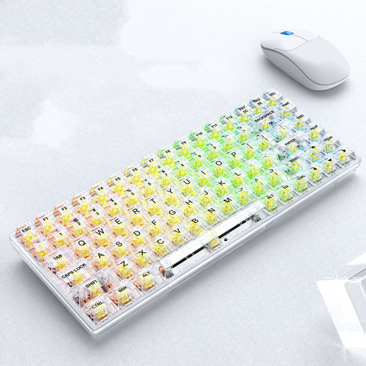 Transparent RGB Gaming Wired Mechanical Keyboard