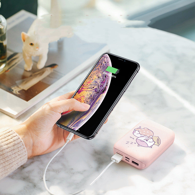 10000mAh Type-C Micro Input Power Bank