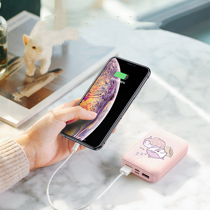 10000mAh Type-C Micro Input Power Bank